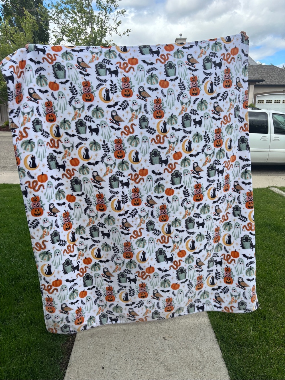 cupcakes & cashmere Spooky Halloween Plush Blanket Pumpkin Ghost Cat Throw